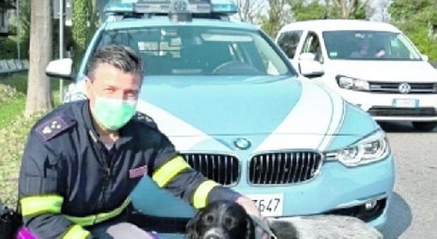 Cane vaga impaurito in strada Ovest: salvato dagli agenti