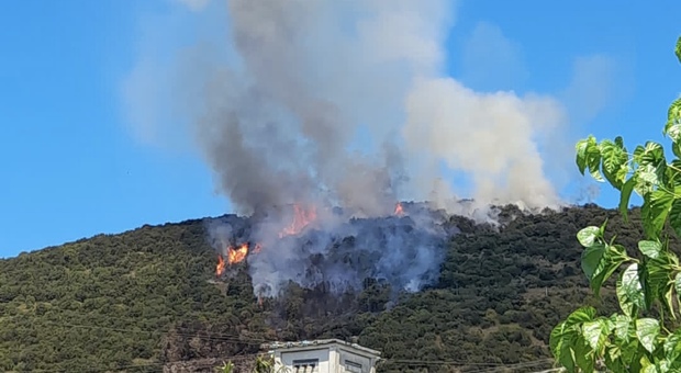 Frosinone, incendi minacciano abitazioni e museo: in fumo 40 ettari nel Cassinate