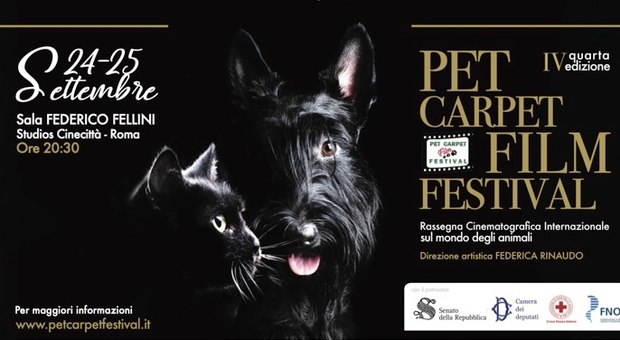 Il "Pet Carpet Film Festival" arriva alla quarta edizione: presentano Edoardo Stoppa e Jimmy Ghione, Enzo Salvi presidente di giuria