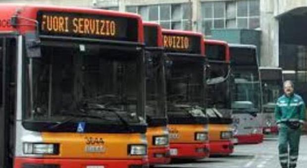 Europee, autisti Atac scrutatori scoppia il caso: 1.200 impegnati ai seggi Bus a rilento e disagi per la città