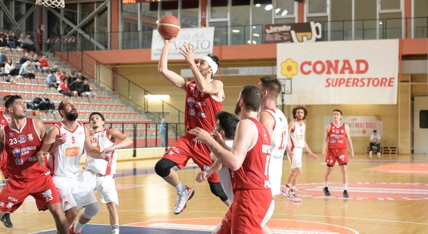 Basket, serie A. Play off al via, Milano e Bologna favorite per lo scudetto