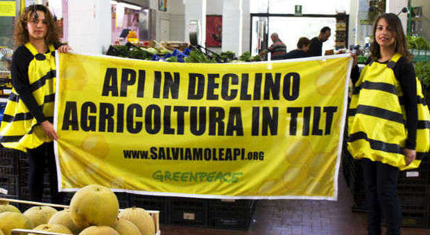 &#8203;Greenpeace, blitz e sit-in al mercato di Marghera