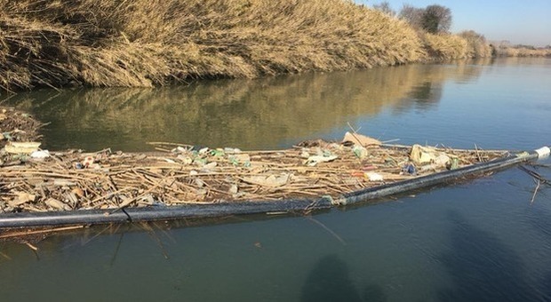 Plastic free, 5000 volontari puliscono i fiumi del Piemonte