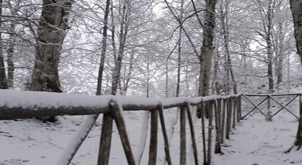 Prima neve a Polino e Prati di Stroncone. Flagello alberi in Valnerina, Marmore e Piediluco