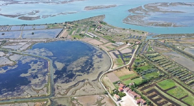 Laguna di Venezia, ritorna un ambiente più consono allo sviluppo naturale