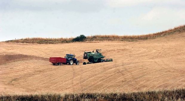 Coldiretti: Italia prima in Europa per valore aggiunto agricoltura