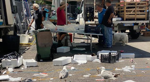 Salerno, al mercato senza i bagni: «Buste di urina e rifiuti in pasto ai gabbiani»