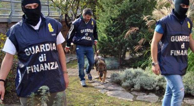 Narcotraffico, 25 arresti tra Italia e Albania: sgominata banda, in manette anche 3 capi della 'ndrangheta