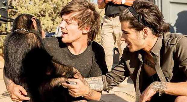 One Direction sotto accusa, gli animalisti: "Scimmie in catene per il nuovo video"