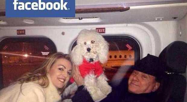 Dudù, il cane di Berlusconi su Facebook contro i botti: «A Capodanno non usateli»