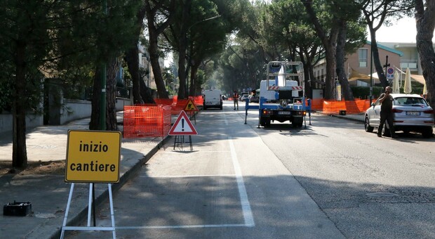 Benevento, vicina a una svolta l'inchiesta sull'abbattimento dei pini