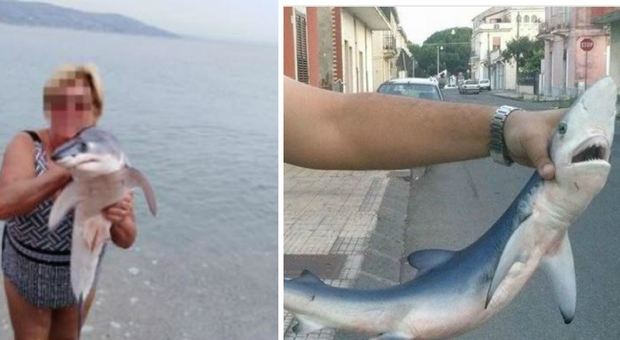 Trovano cucciolo di squalo Verdesca agonizzante e fanno selfie invece di soccorrerlo a Catanzaro