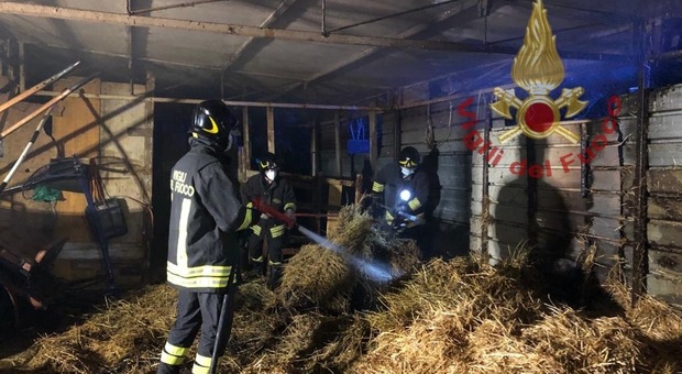 Pescara, stalla in fiamme nella notte: i vigili del fuoco salvano i cavalli