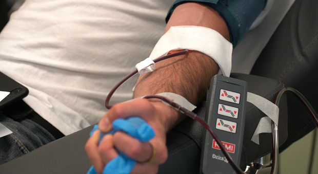 Una donazione di sangue