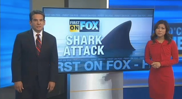 Usa, surfista ventinovenne attaccato da uno squalo