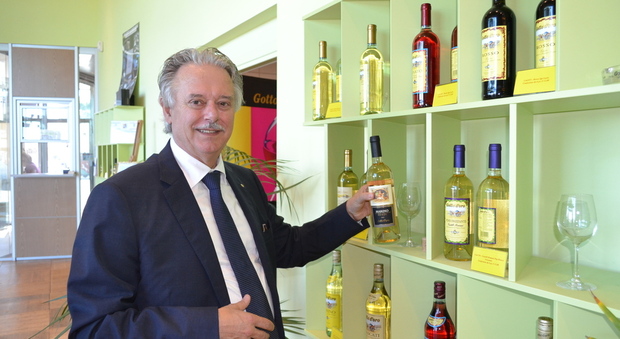 Luigi Caporicci, presidente dell'azienda vitivinicola "Gotto d'Oro" di Marino