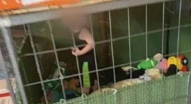 Bimbo di un anno chiuso in gabbia circondato da topi e un boa di 3 metri: «Lo abbiamo rinchiuso per tenerlo al sicuro»