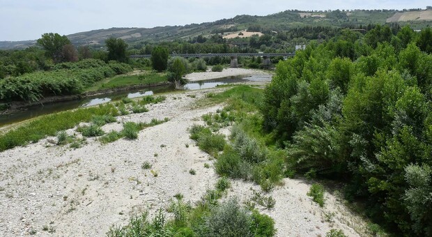 Crisi idrica ad Ascoli e provincia, arrivano le autobotti per gli allevamenti di bovini. Le cisterne potrebbero non bastare