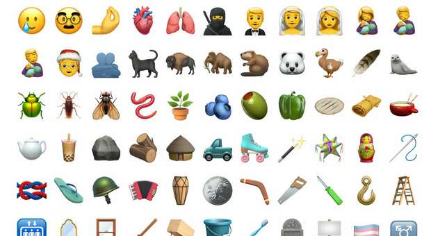 Whatsapp, dalla bandiera trans al dodo, ecco le nuove emoji: c'è anche l'uomo con il velo da sposa