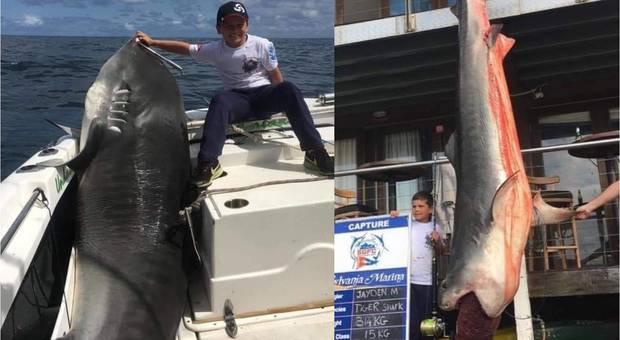 Bimbo di 8 anni pesca uno squalo tigre di 300 kg: scoppia la polemica social
