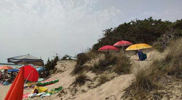 Dune e habitat costieri: arrivano fondi per 900mila euro dalla Regione