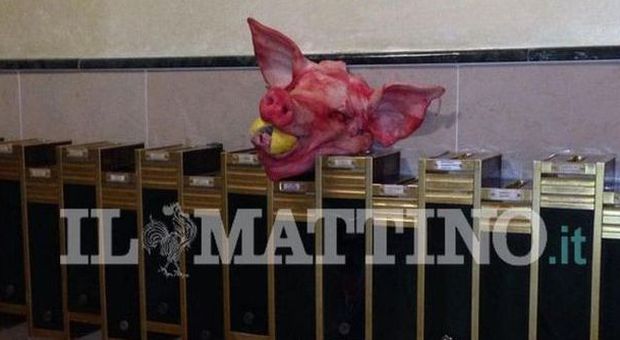 Salerno choc: testa di maiale trovata sulla cassetta della posta del sindaco | Video