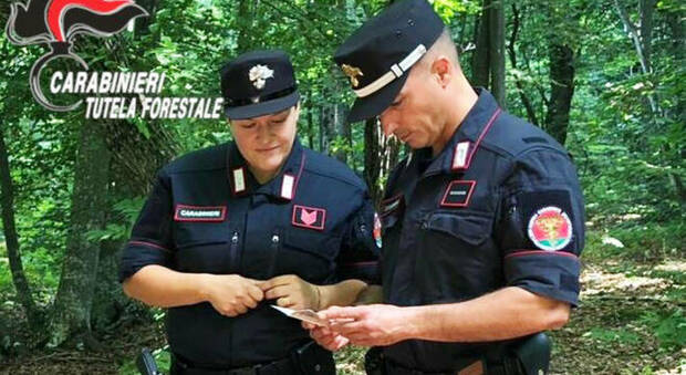 Carabinieri Forestale, intelligenza artificiale contro i crimini ambientali e gli incendi boschivi