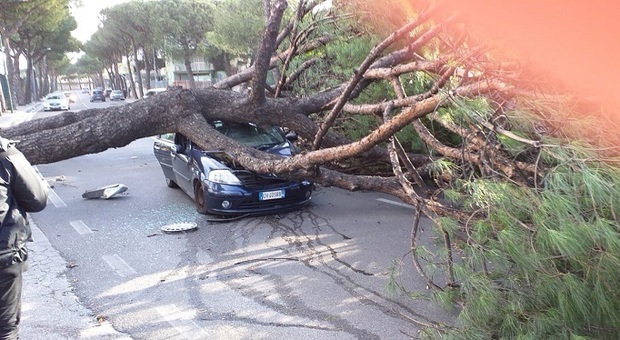 San Sebastiano al Vesuvio, albero caduto su auto in transito: due feriti