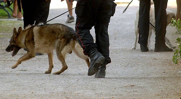 Carabinieri con i cani antidroga