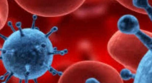 Cancro, nuova ricerca italiana: "Il sistema immunitario riconosce e blocca le cellule tumorali"