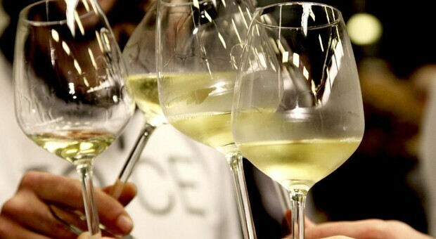 Vino, tutto pronto per Milano Wine Week 2021: dal 2 al 10 ottobre nella città operatori da tutto il mondo
