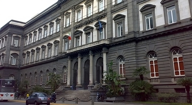 L'università Federico II