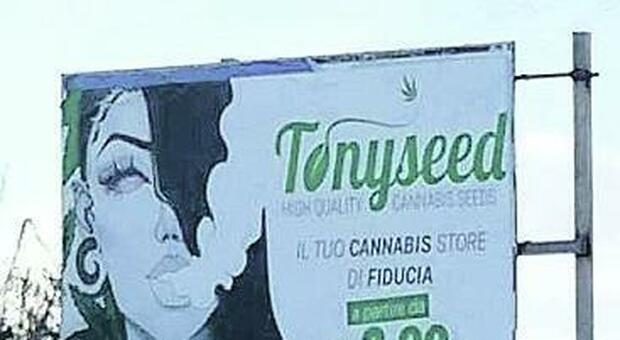 La pubblicità per il negozio di cannabis davanti alla scuola di Cicciano