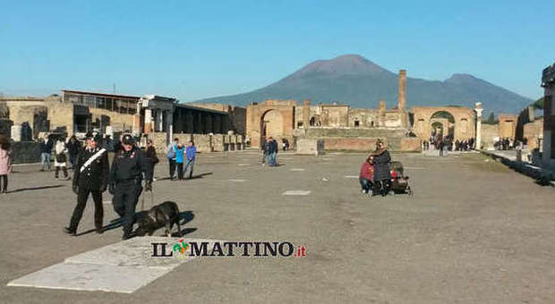Controlli antiterrorismo a Pompei, arriva il cane «Don»| Le foto