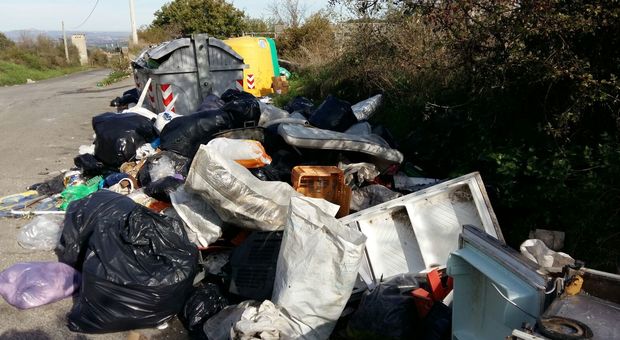 Il dopo Viterbo Ambiente: per il nuovo bando dei rifiuti il Comune chiama l'Università