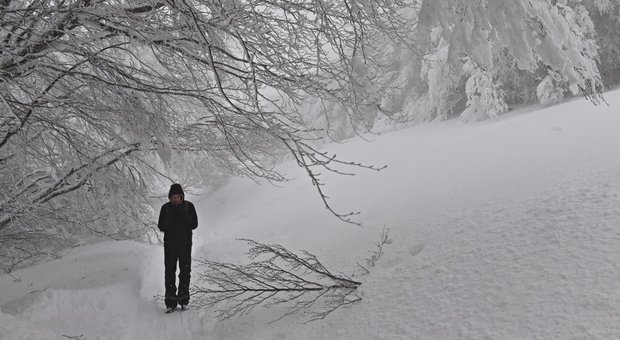 Arriva il Buriàn, Veneto e Friuli sotto zero, neve e vento fino a mercoledì