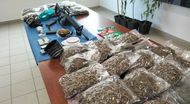 Scoperta un'enorme serra sotterranea utilizzata per coltivare marijuana: un arresto e 14 kg di droga sequestrata