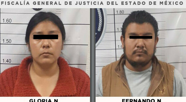 La polizia messicana ha arrestato due persone per aver picchiato e ucciso brutalmente un cane