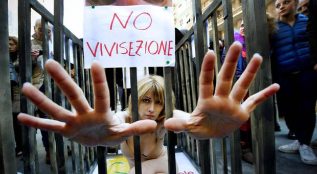 Vivisezione, gli italiani dicono no: contrario il 78,9% della popolazione