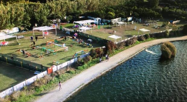 Centro di addestramento cinofilo e area relax “Animal Park” sulle sponde dell’incantevole lago flegreo dell’Averno