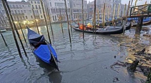 Siccità record in laguna. Venezia imprigionata nel fango