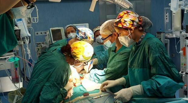 Napoli, all'ospedale Cardarelli otto trapianti di fegato realizzati in 20 giorni
