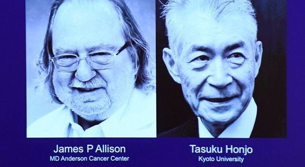Nobel per la Medicina ad Allison e Honjo per le terapie anticancro