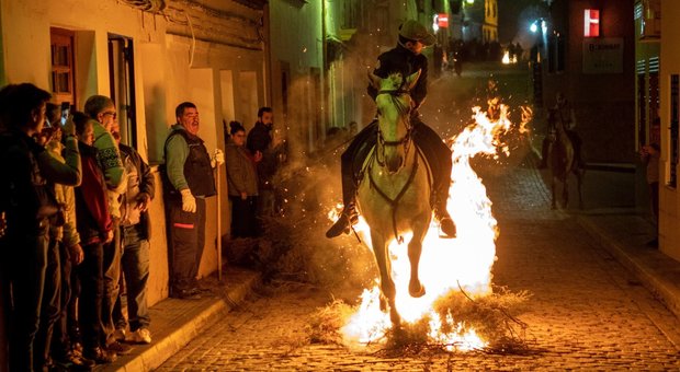Spagna, cavalli saltano nel fuoco per la festa Luminarias
