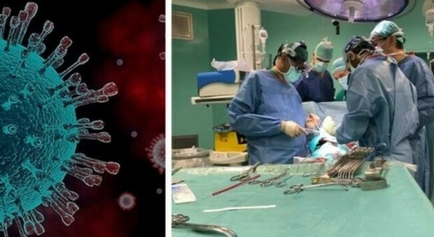 Gli organi di pazienti positivi al virus e deceduti salvano due vite: trapianti record a Palermo e Torino