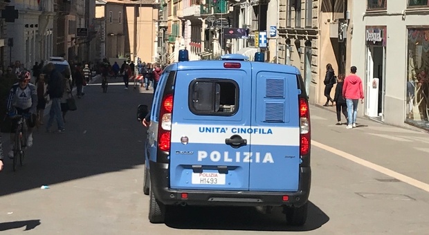 Poliziotti con i cani nei portici di piazza Cavour: due ragazzini consegnano l'hashish che hanno in tasca