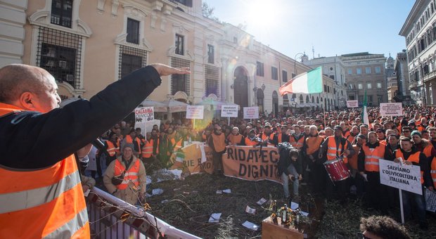 Piazza Santi Apostoli invasa dai gilet arancioni: protestano gli olivicoltori