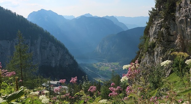 Austria, una proposta inedita per chi ama la natura e le... vacanze