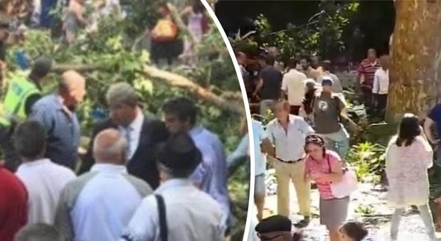 La quercia cade sui fedeli in processione: almeno 11 morti e 35 feriti