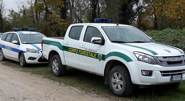 Mezzi del corpo forestale e della polizia locale del Friuli